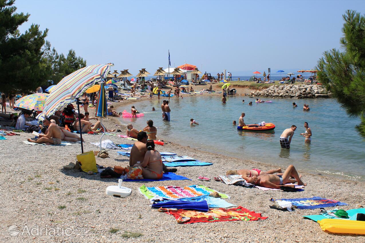 Spiagge nelle vicinanze - Appartamenti con piscina Ponte - Punat, Veglia - Krk