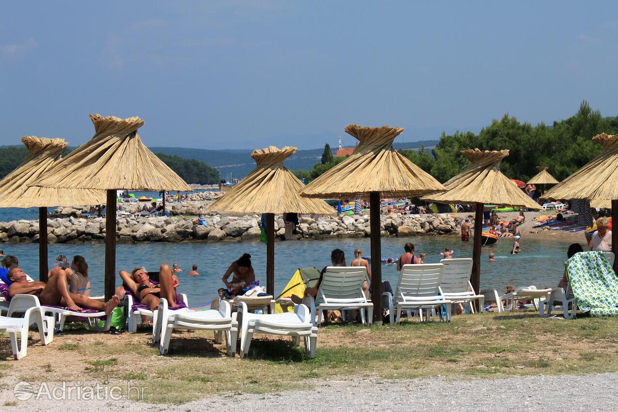 Spiagge nelle vicinanze - Appartamenti con piscina Ponte - Punat, Veglia - Krk