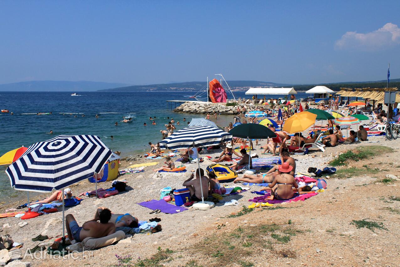 Spiagge nelle vicinanze - Appartamenti con piscina Ponte - Punat, Veglia - Krk