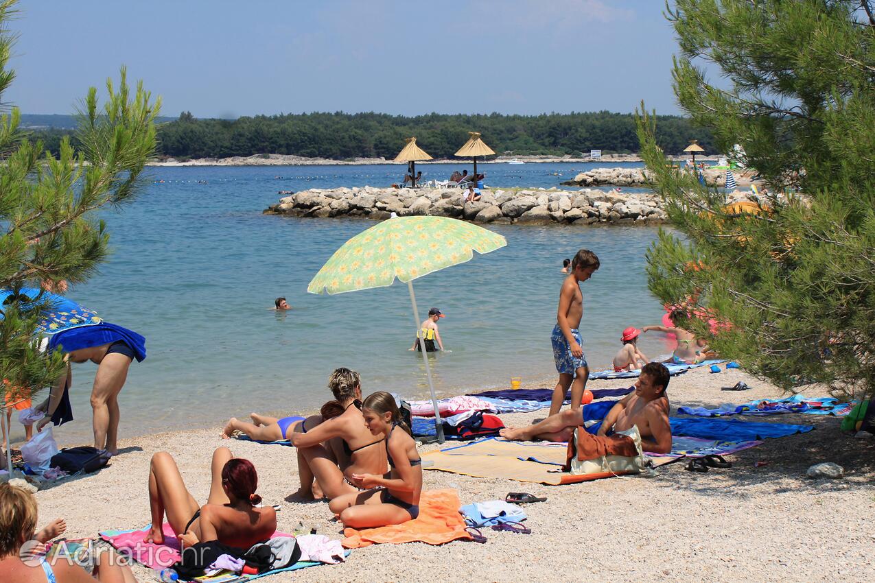 Spiagge nelle vicinanze - Appartamenti con piscina Ponte - Punat, Veglia - Krk