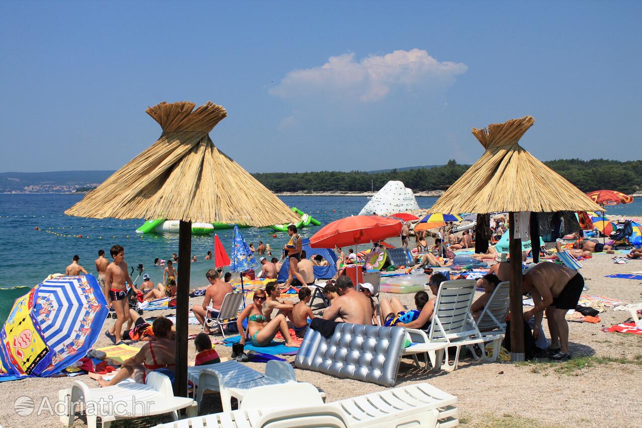 Spiagge nelle vicinanze - Appartamenti con piscina Ponte - Punat, Veglia - Krk
