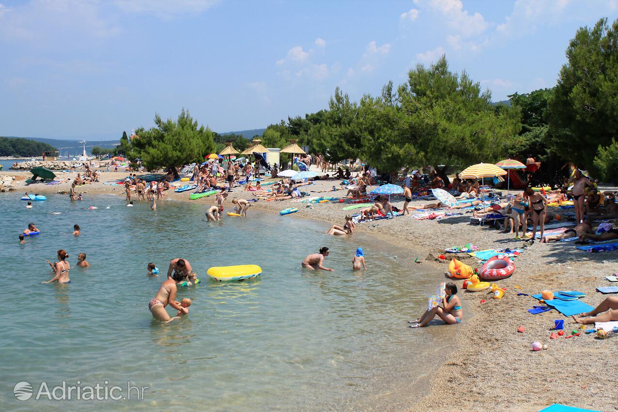 Spiagge nelle vicinanze - Appartamenti con piscina Ponte - Punat, Veglia - Krk