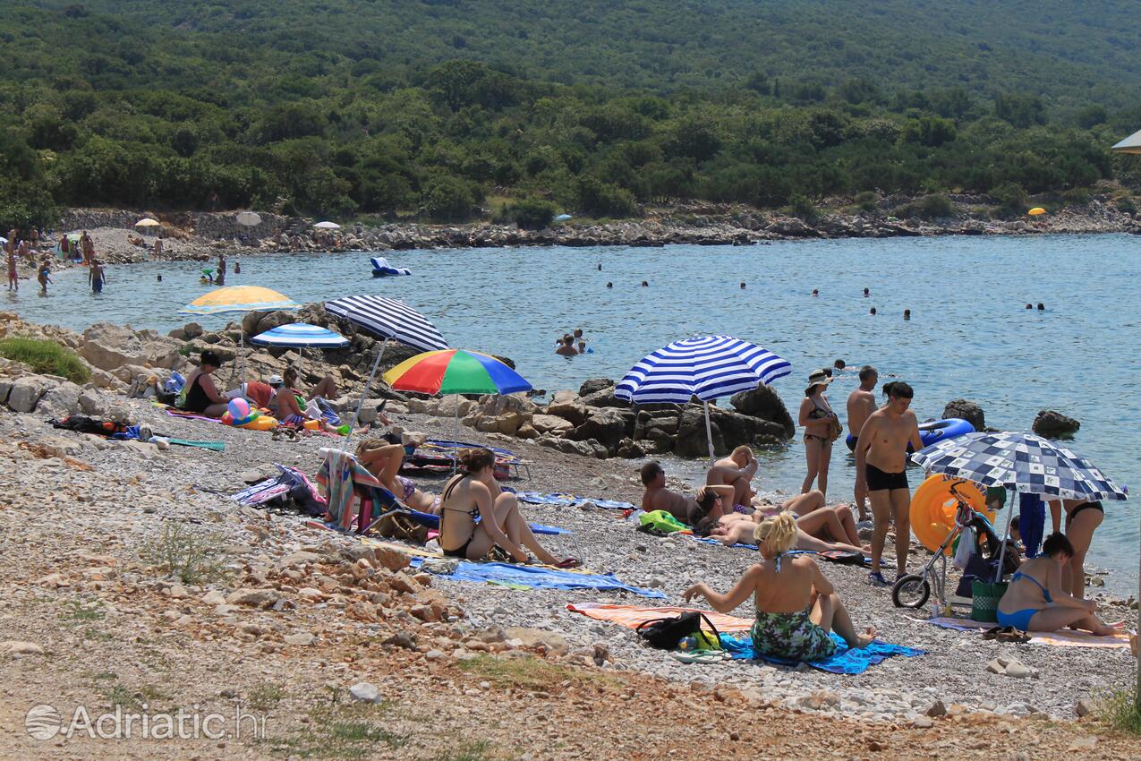 Spiagge nelle vicinanze - Appartamenti con piscina Ponte - Punat, Veglia - Krk