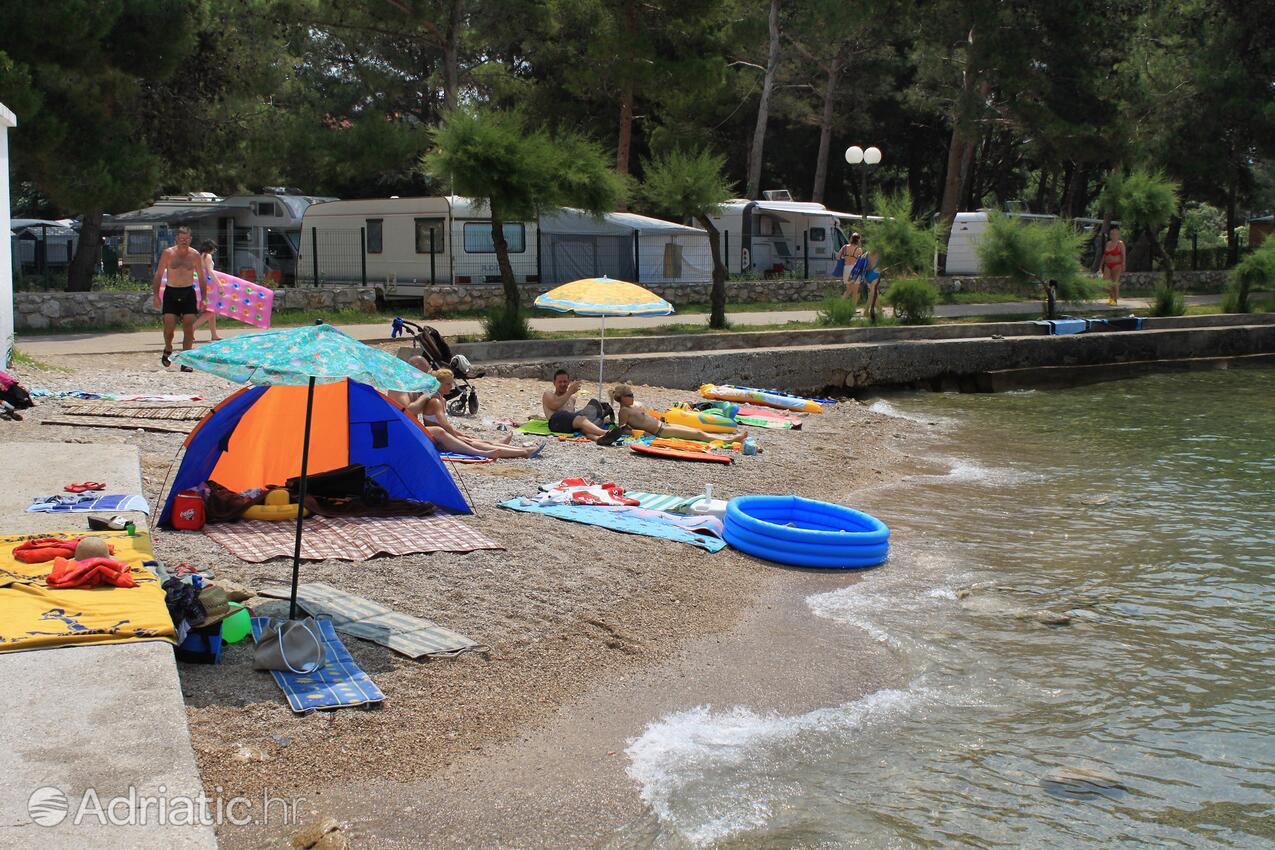 Spiagge nelle vicinanze - Appartamenti con piscina Ponte - Punat, Veglia - Krk