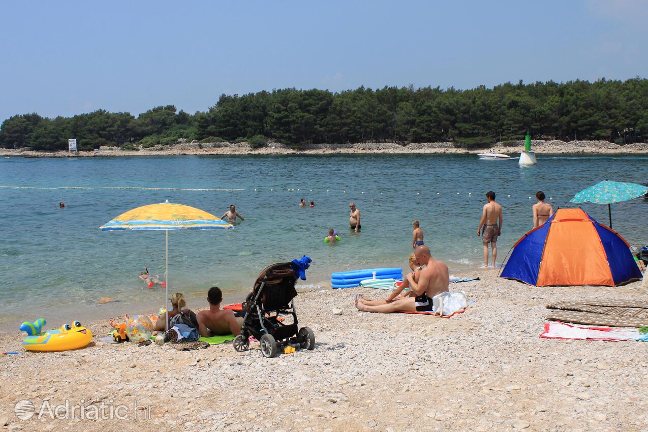 Spiagge nelle vicinanze - Appartamenti con piscina Ponte - Punat, Veglia - Krk