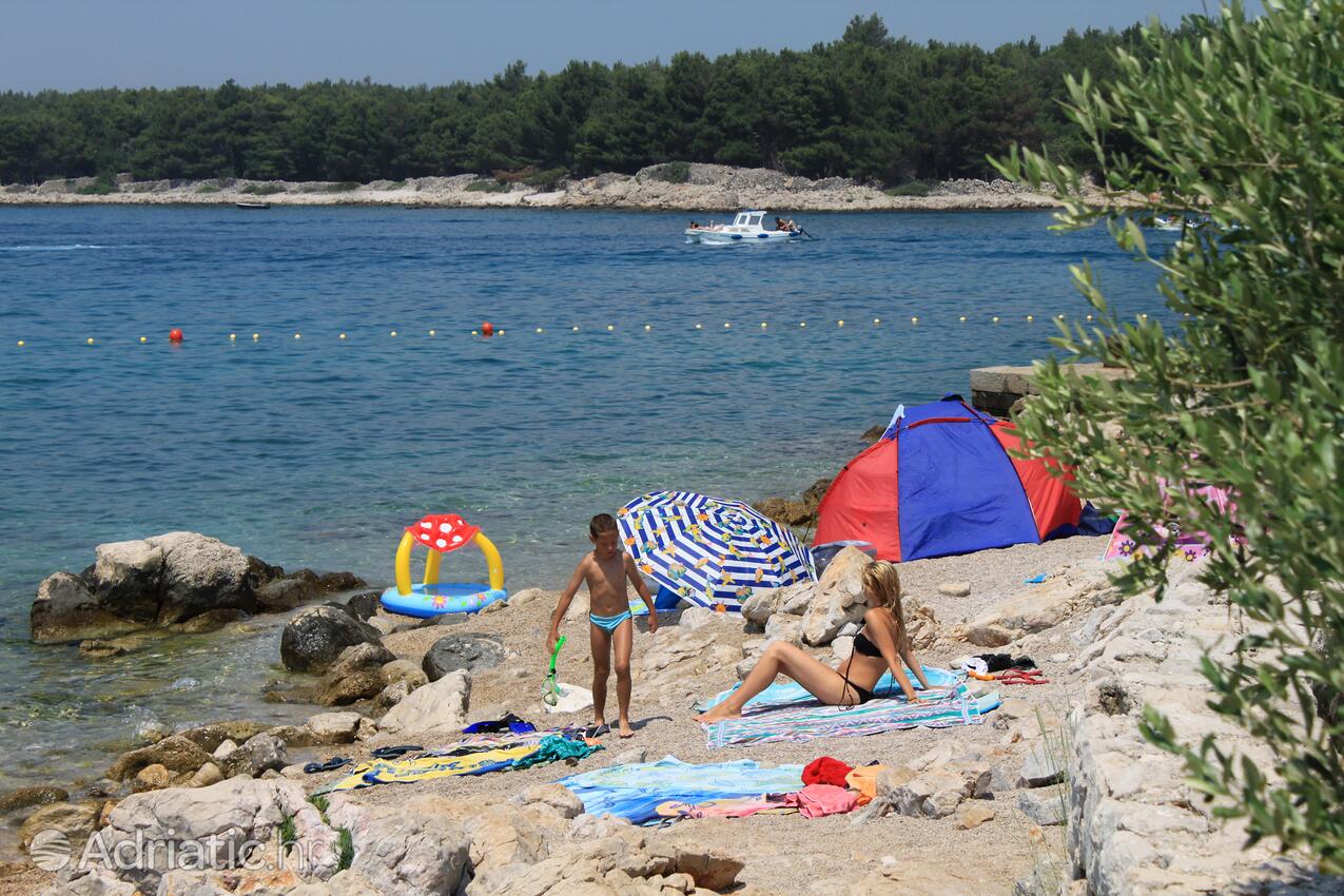 Spiagge nelle vicinanze - Appartamenti con piscina Ponte - Punat, Veglia - Krk