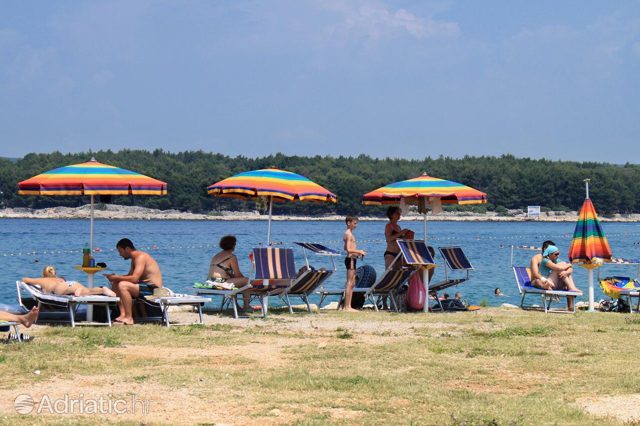 Spiagge nelle vicinanze - Appartamenti con piscina Ponte - Punat, Veglia - Krk