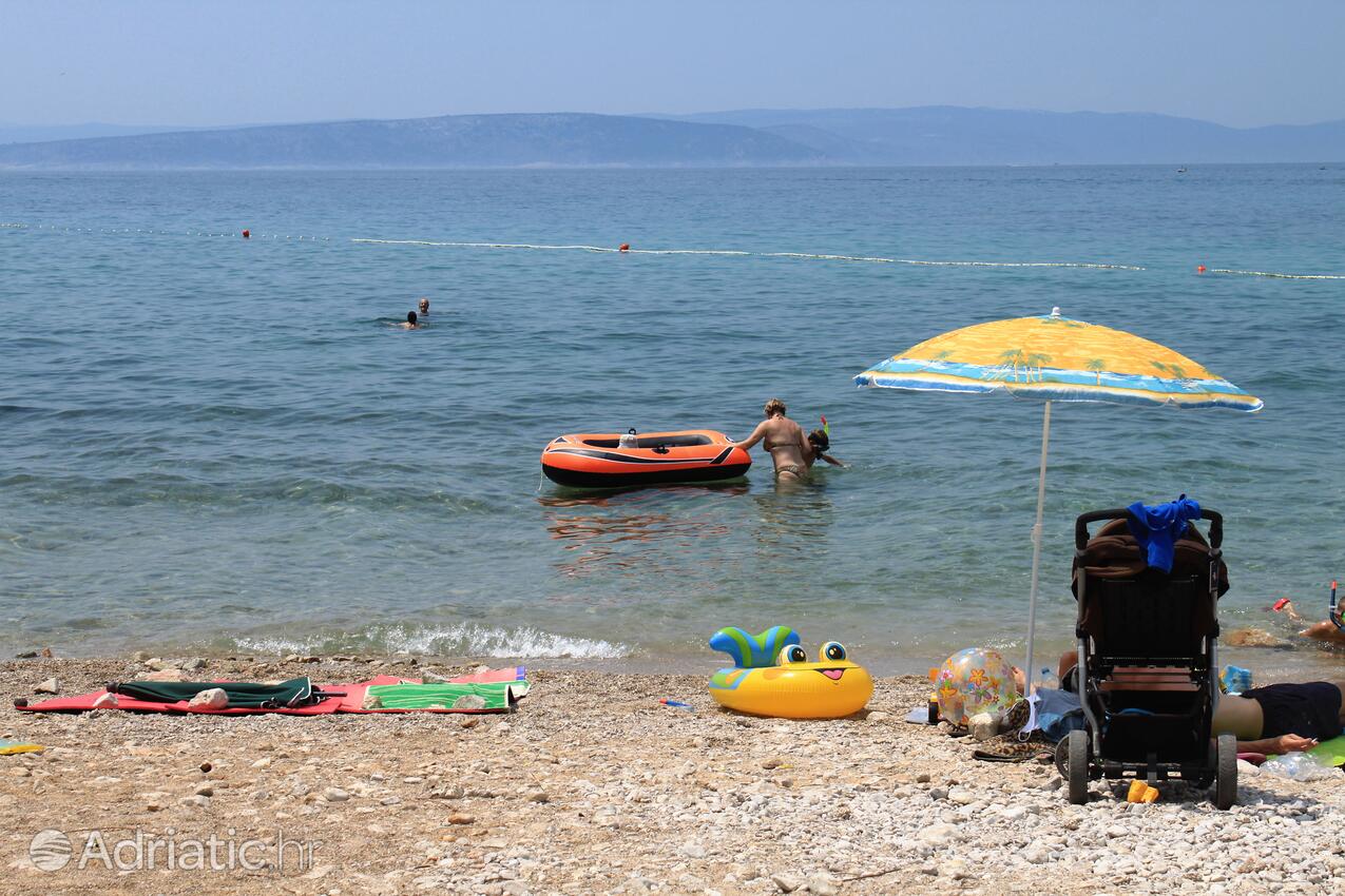 Spiagge nelle vicinanze - Appartamenti con piscina Ponte - Punat, Veglia - Krk