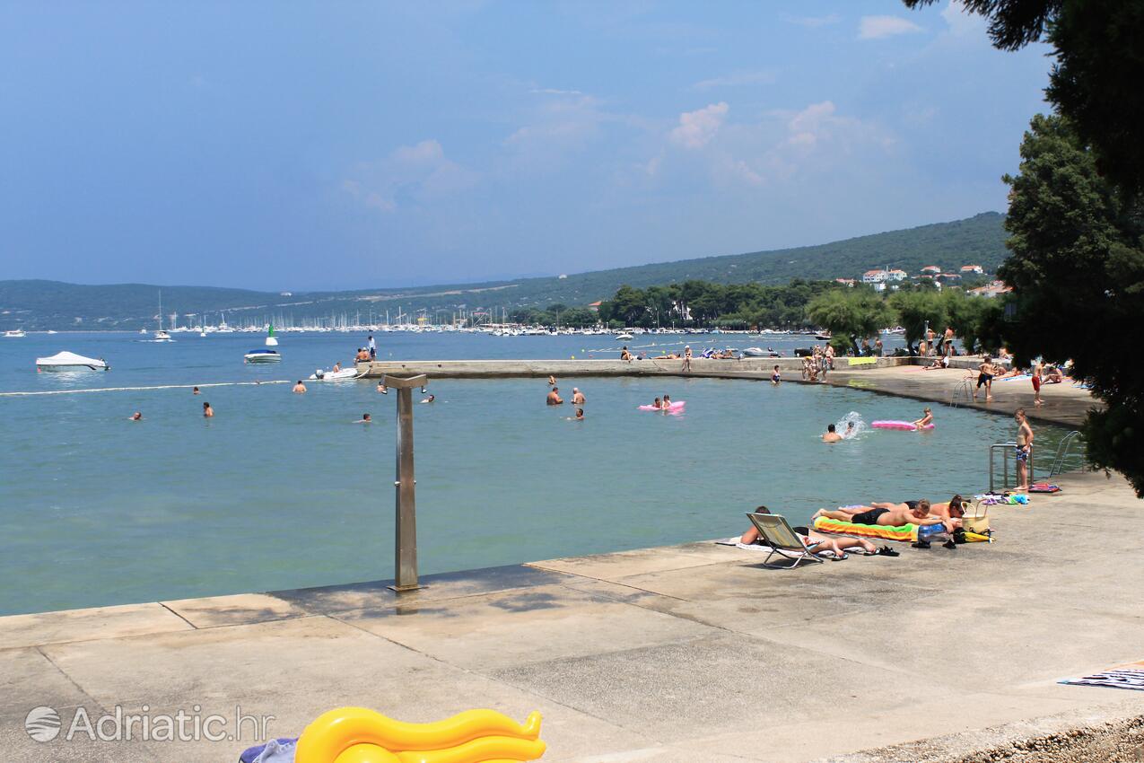 Spiagge nelle vicinanze - Appartamenti con piscina Ponte - Punat, Veglia - Krk