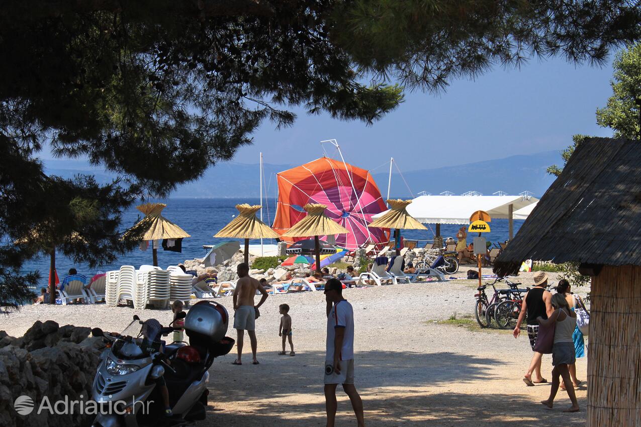 Spiagge nelle vicinanze - Appartamenti con piscina Ponte - Punat, Veglia - Krk