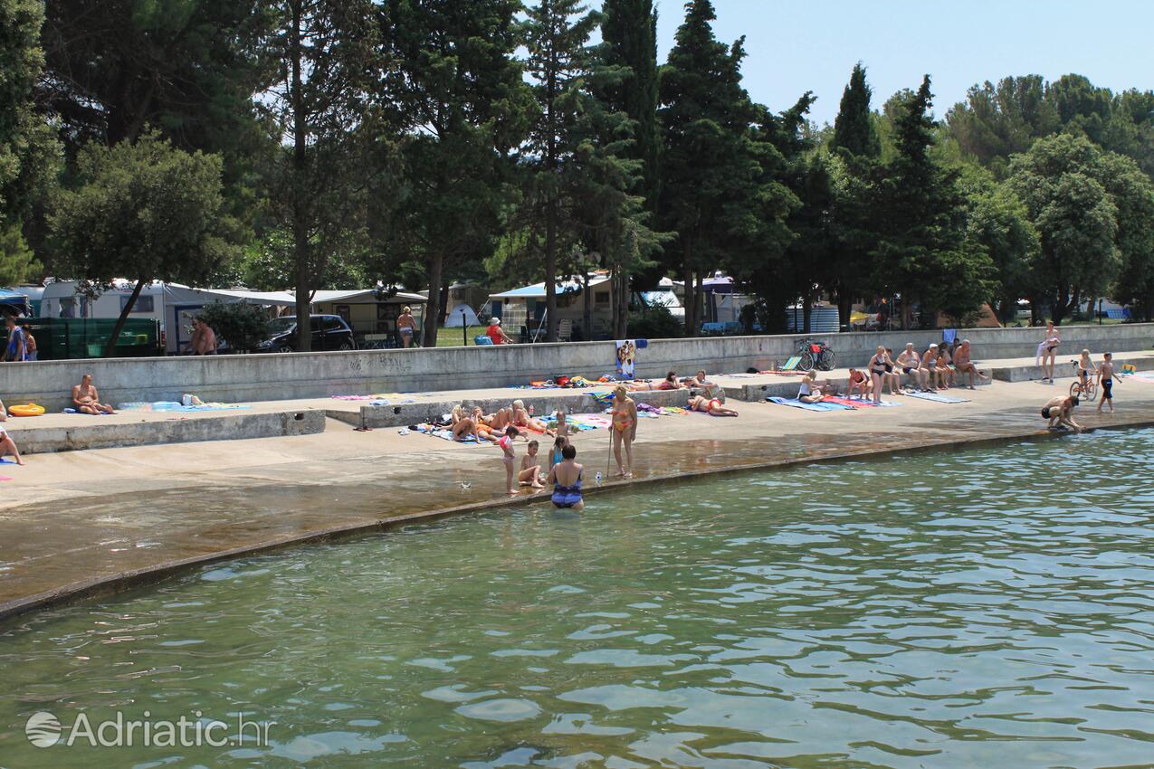 Spiagge nelle vicinanze - Appartamenti con piscina Ponte - Punat, Veglia - Krk