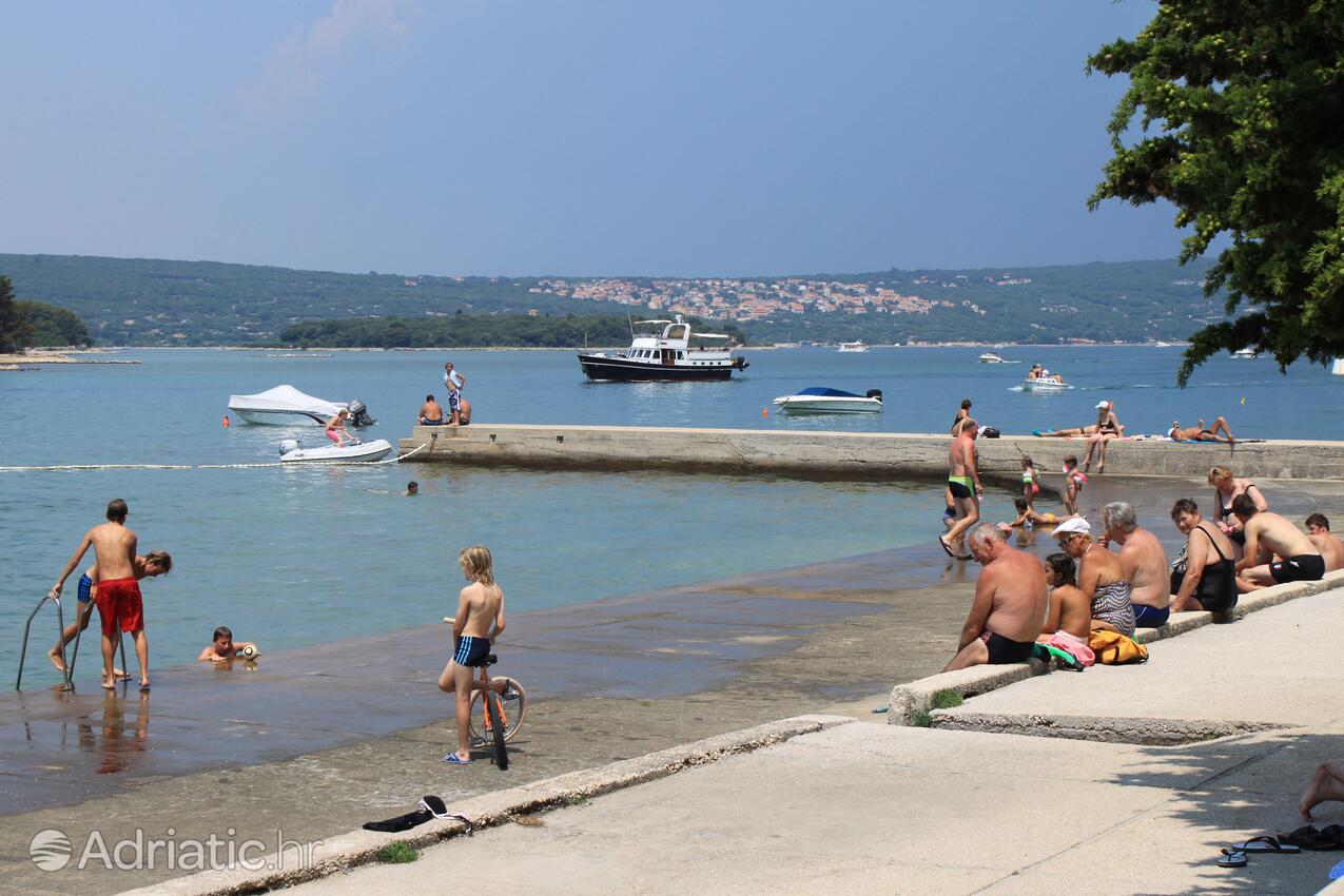 Spiagge nelle vicinanze - Appartamenti con piscina Ponte - Punat, Veglia - Krk