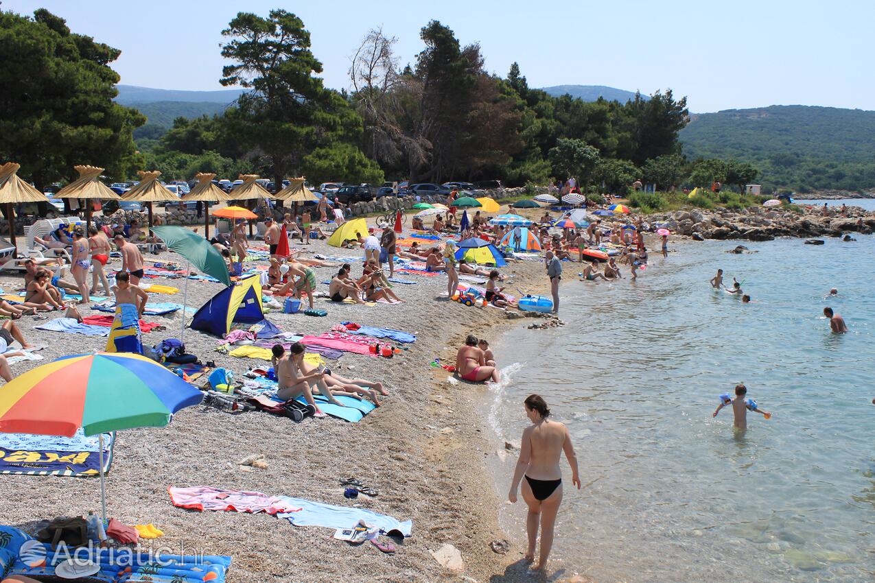 Spiagge nelle vicinanze - Appartamenti con piscina Ponte - Punat, Veglia - Krk