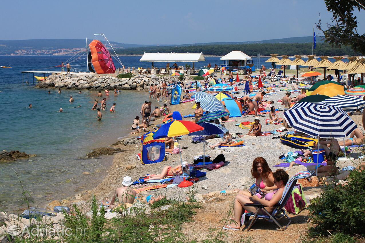 Spiagge nelle vicinanze - Appartamenti con piscina Ponte - Punat, Veglia - Krk
