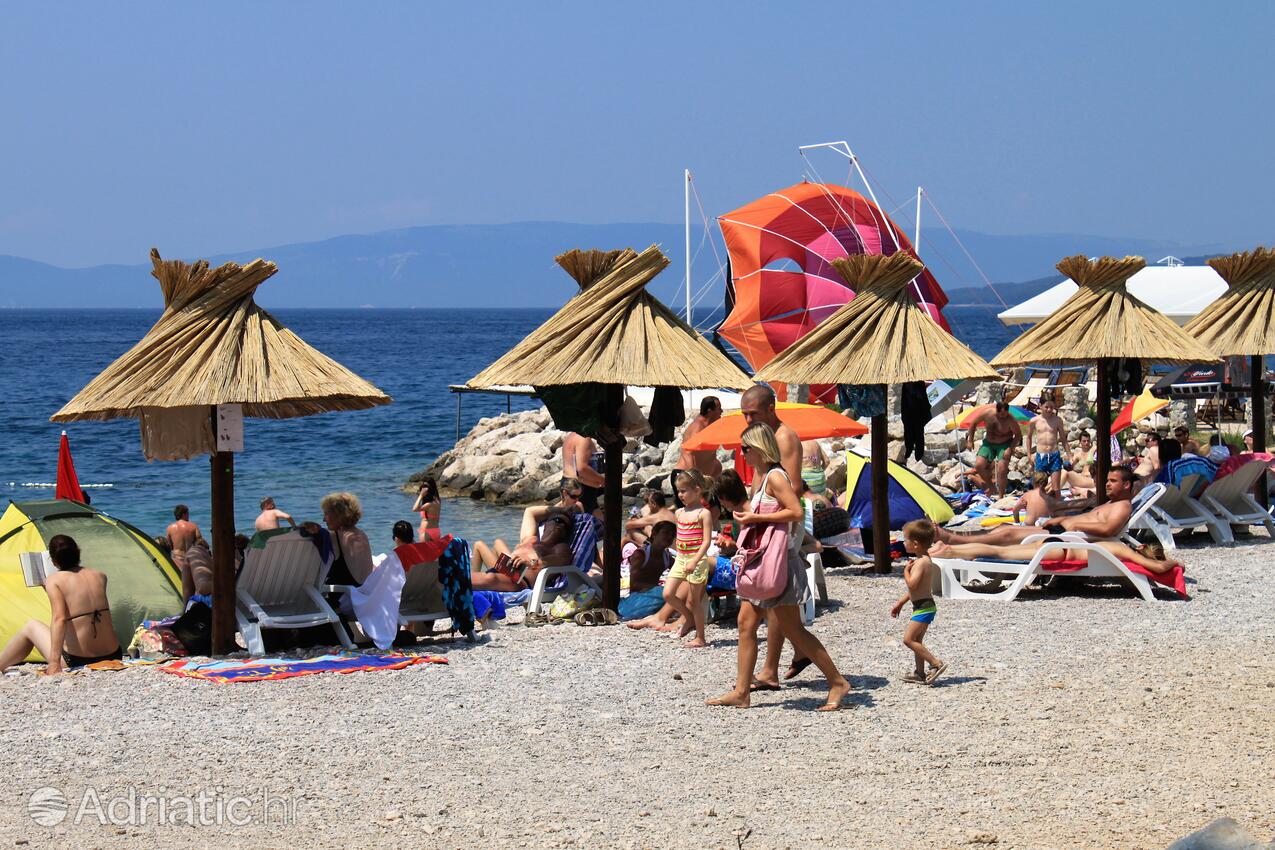 Spiagge nelle vicinanze - Appartamenti con piscina Ponte - Punat, Veglia - Krk