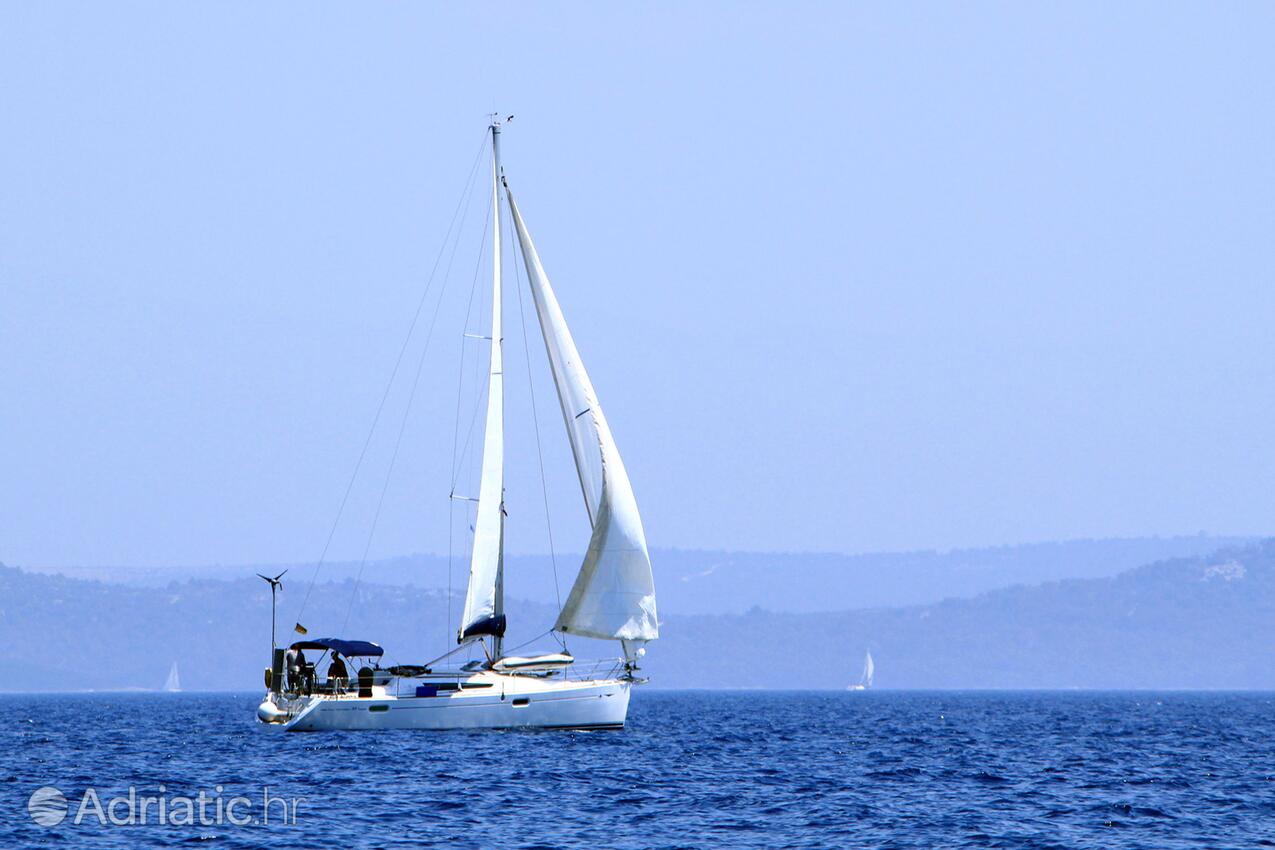 Krknata na ostrove Dugi otok (Sjeverna Dalmacija)