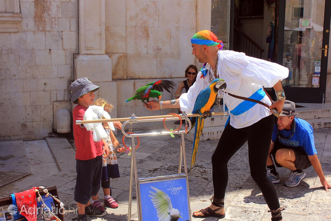 Dubrovnik i Rivieran Dubrovnik (Južna Dalmacija)