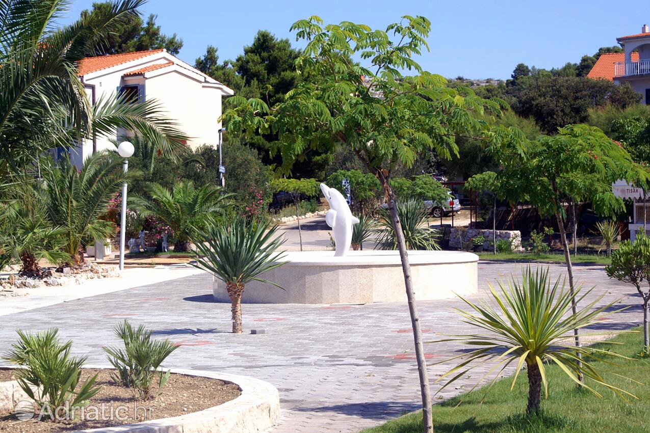 Žaborić an der Riviera Šibenik (Sjeverna Dalmacija)