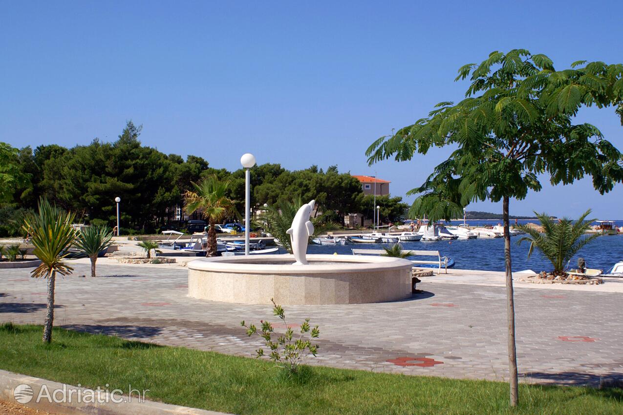 Žaborić an der Riviera Šibenik (Sjeverna Dalmacija)