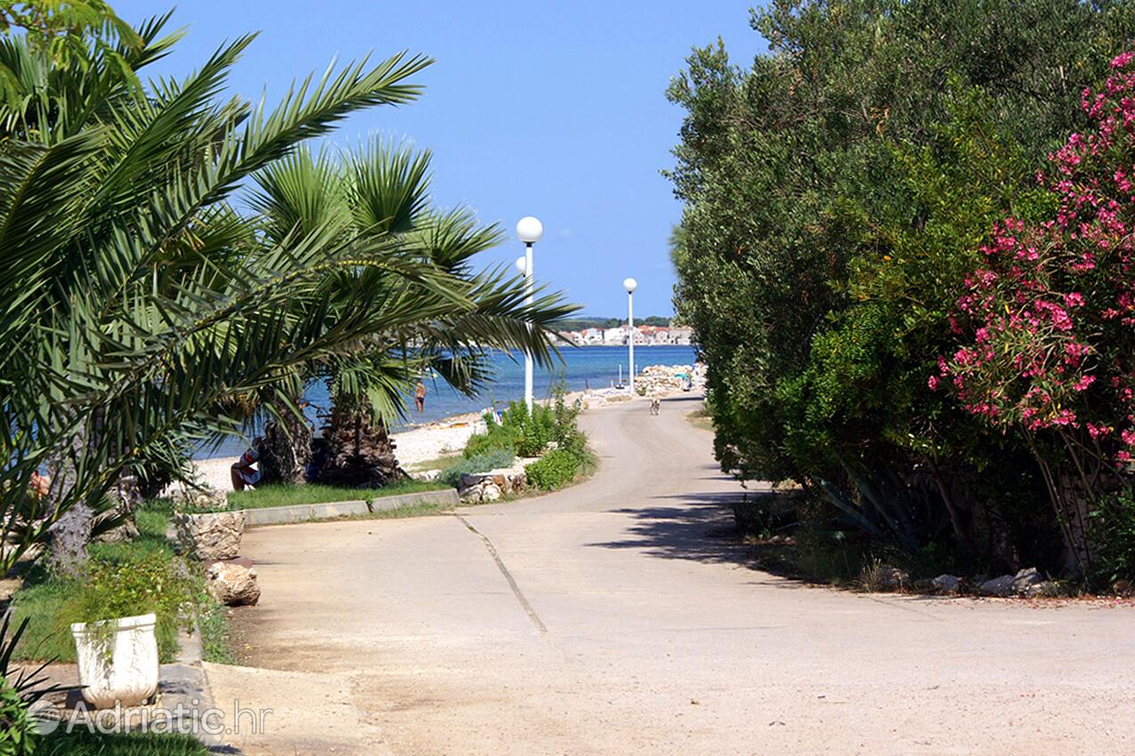 Žaborić an der Riviera Šibenik (Sjeverna Dalmacija)
