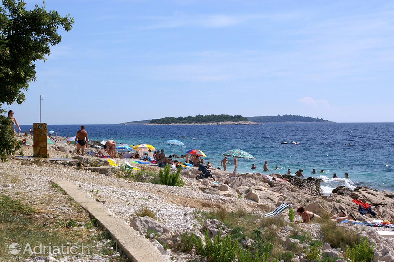Plaże w pobliżu - Apartamenty i pokoje nad morzem Primosten