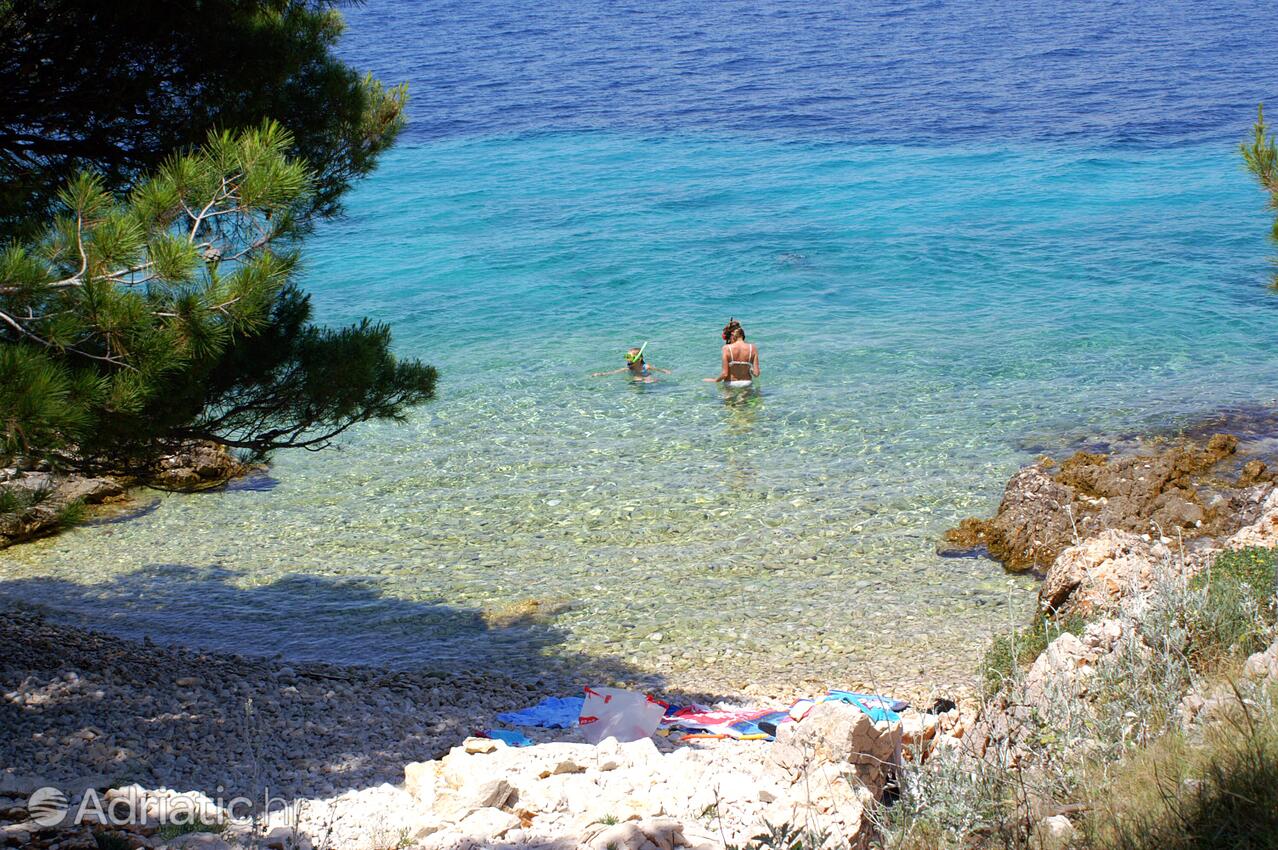 Plaże w pobliżu - Apartamenty i pokoje nad morzem Primosten