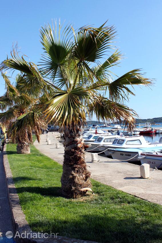 Srima - Vodice an der Riviera Vodice (Sjeverna Dalmacija)