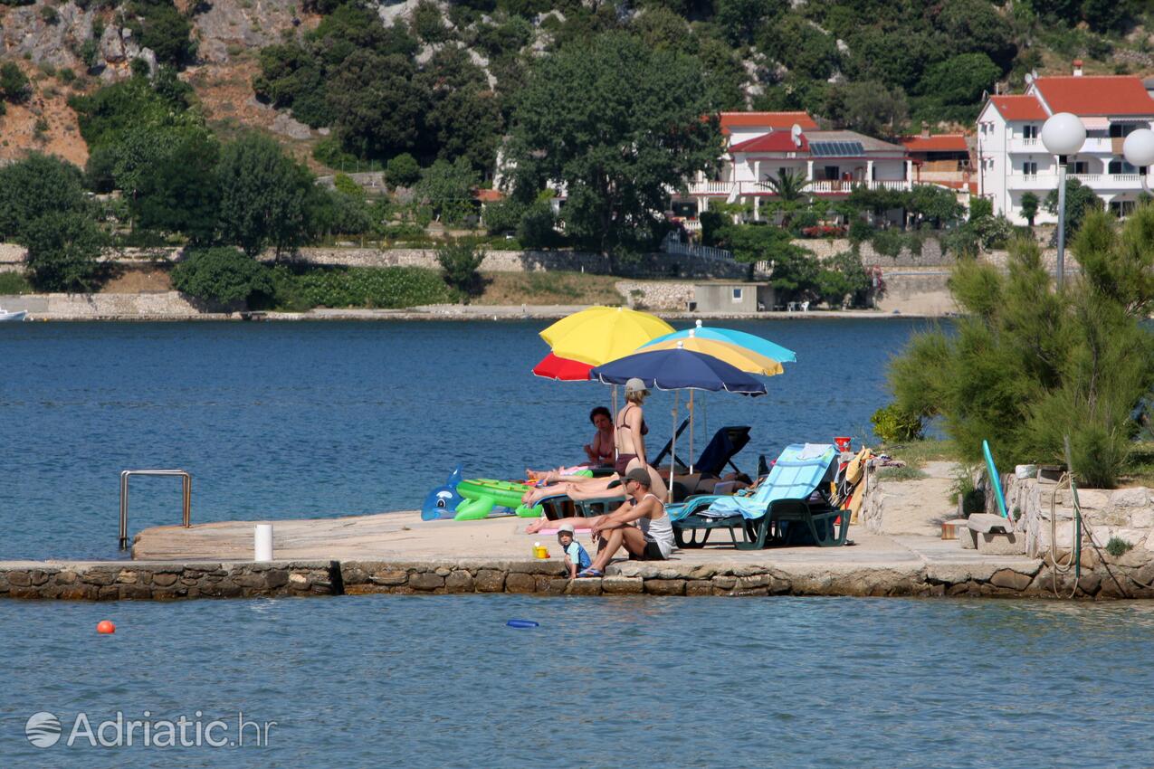 Spiagge nelle vicinanze - Appartamenti accanto al mare per famiglie Valle San Pietro - Bassa - Supetarska Draga - Donja, Arbe - Rab