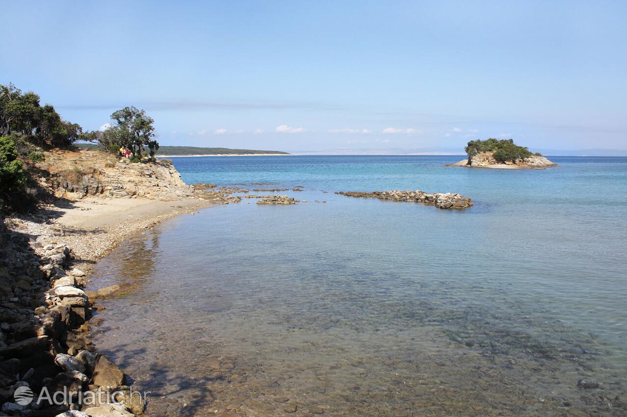 Supetarska Draga - Gonar острові Rab (Kvarner)