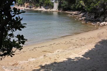 Apartments and rooms by the sea Supetarska Draga - Gonar, Rab - 16761