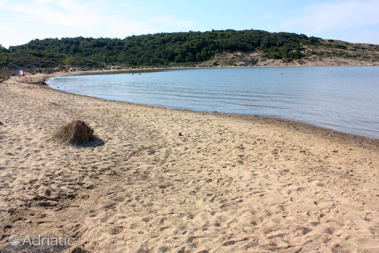 Nearby beaches - Apartments with a swimming pool Lopar, Rab
