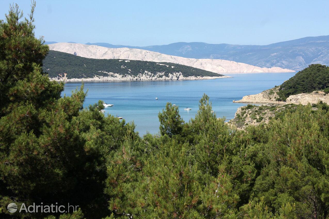 Nearby beaches - Apartments with a swimming pool Lopar, Rab