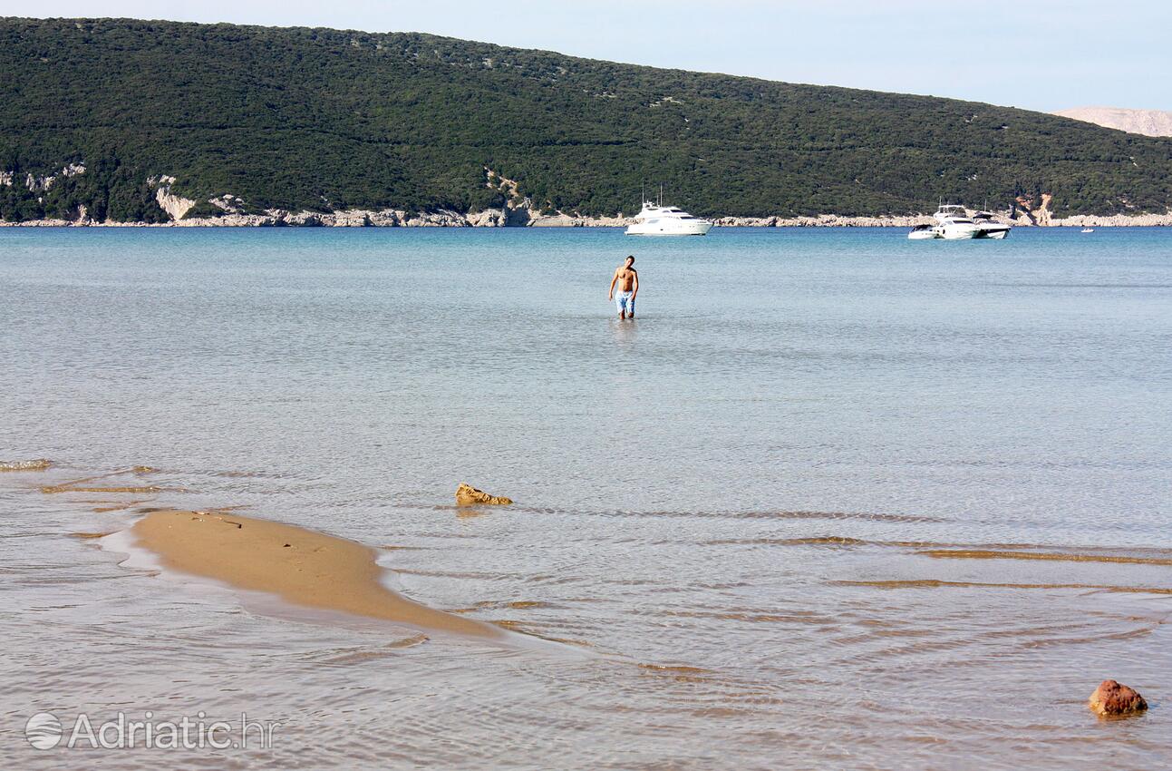 Nearby beaches - Apartments with a swimming pool Lopar, Rab