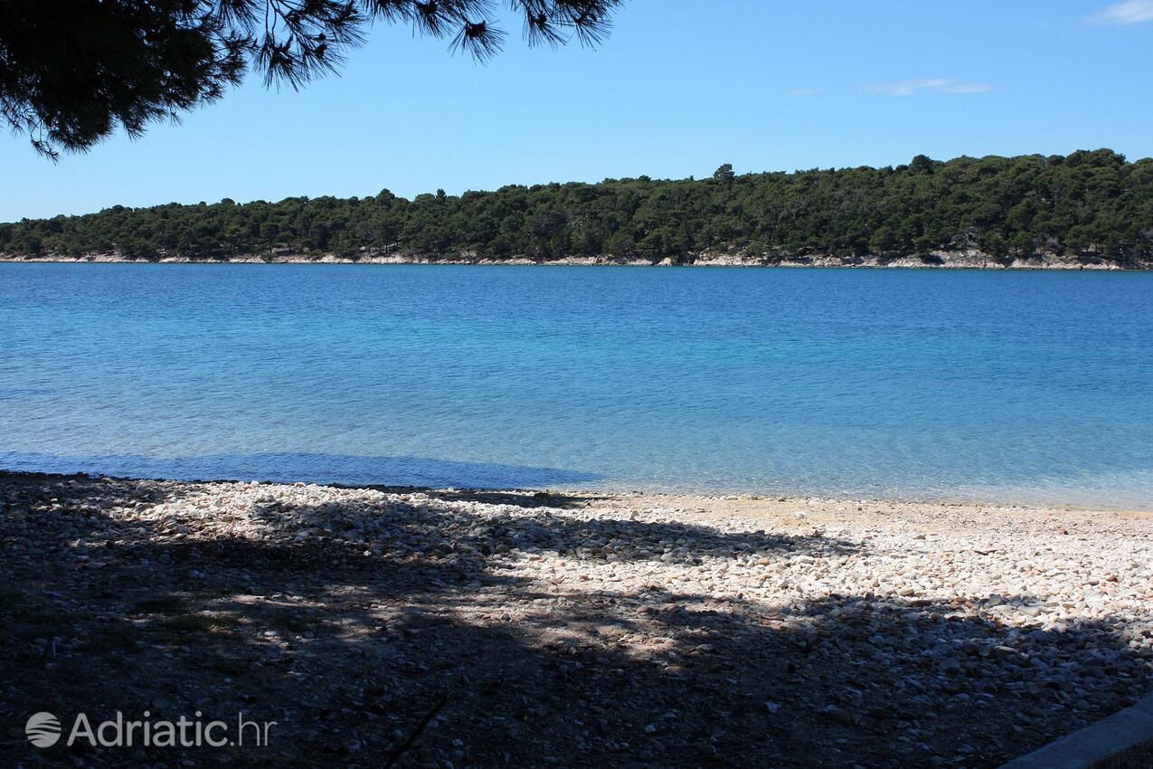 Nearby beaches - Apartments with a parking space Palit, Rab