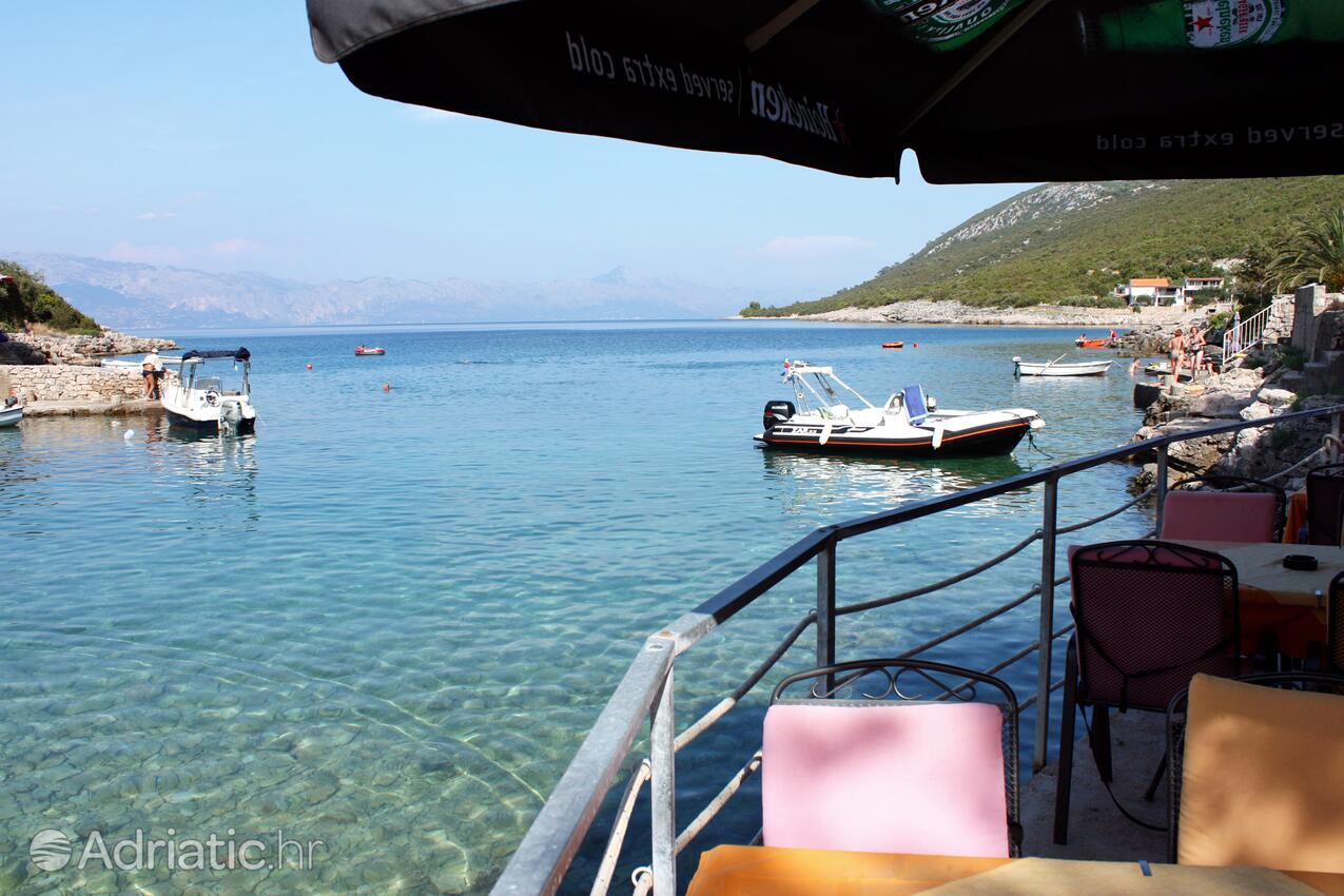 Zaraće (Gdinj) na ostrově Hvar (Srednja Dalmacija)