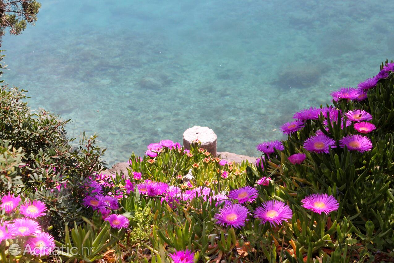 Zaraće (Gdinj) op de route Hvar (Srednja Dalmacija)