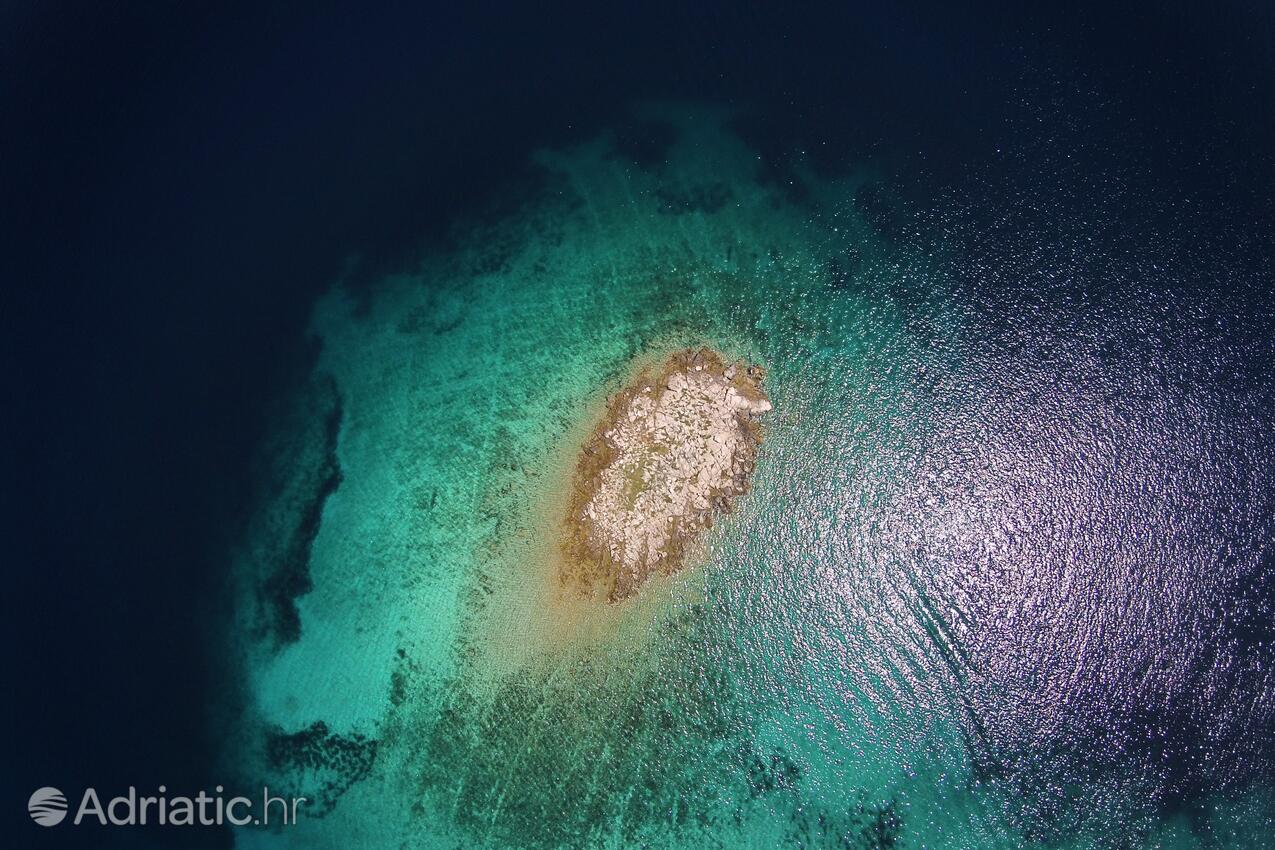 Sevid na riviére Trogir (Srednja Dalmacija)