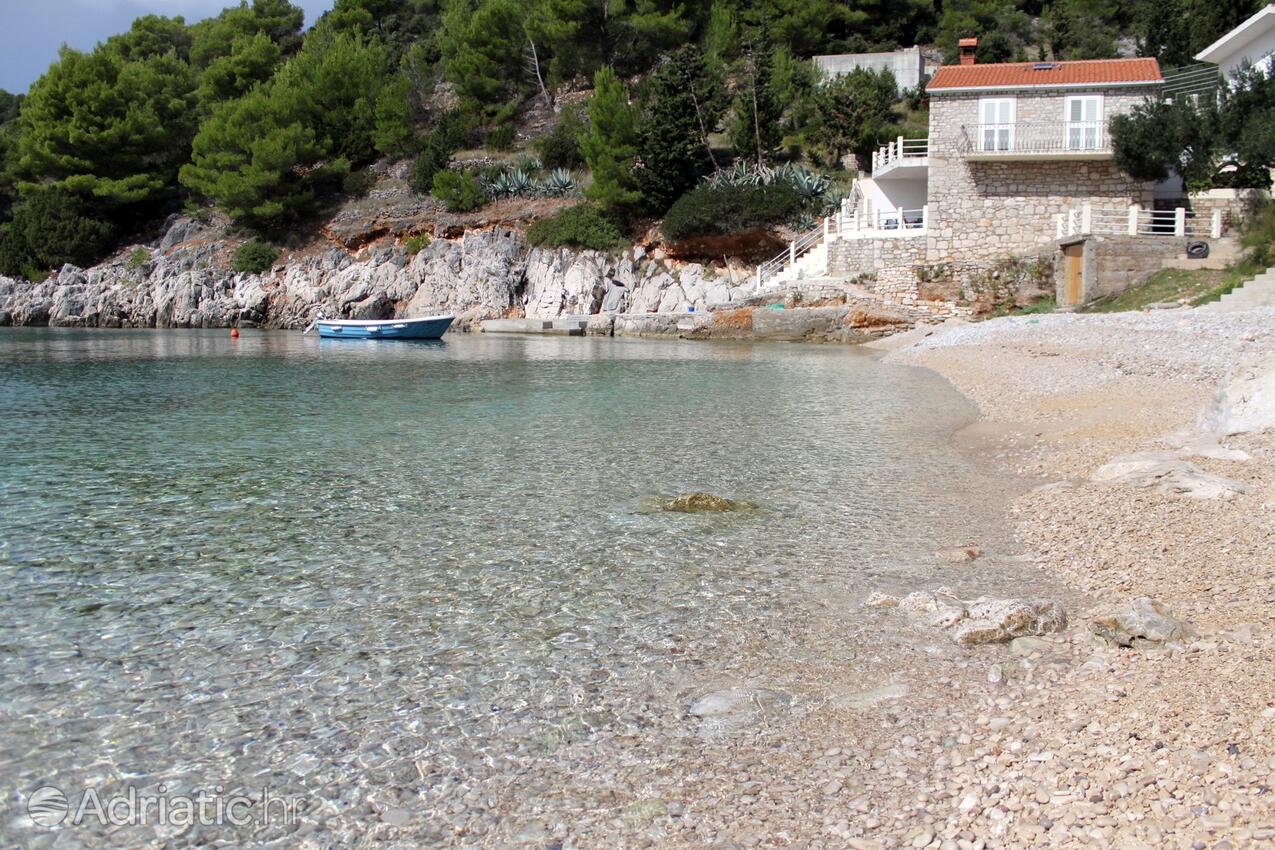 Spiagge nelle vicinanze - Casa dei pescatori accanto al mare Baia Srhov Dolac, Lesina - Hvar