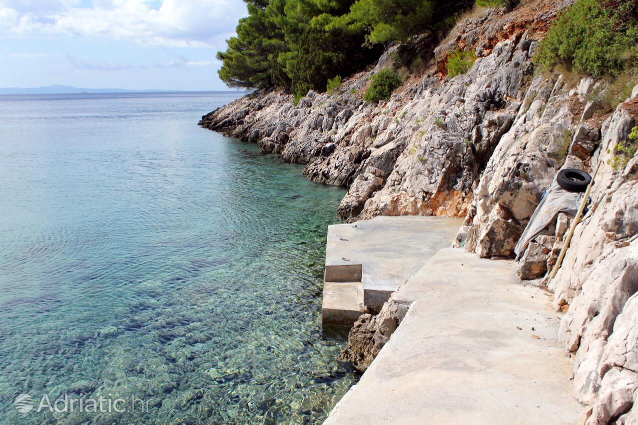 Spiagge nelle vicinanze - Casa dei pescatori accanto al mare Baia Srhov Dolac, Lesina - Hvar
