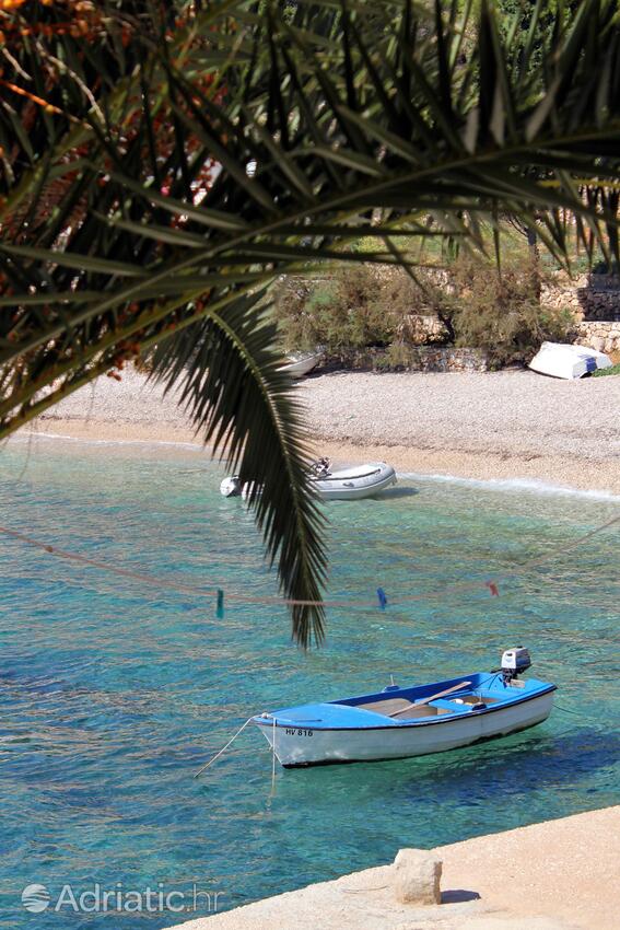 Tvrdni Dolac en la isla Hvar (Srednja Dalmacija)