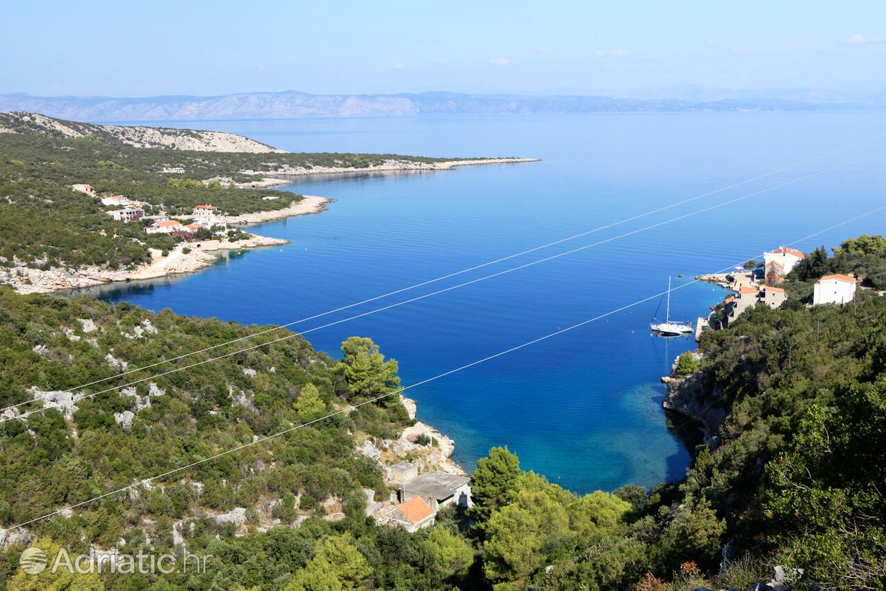 Pokrivenik sur l’île Hvar (Srednja Dalmacija)