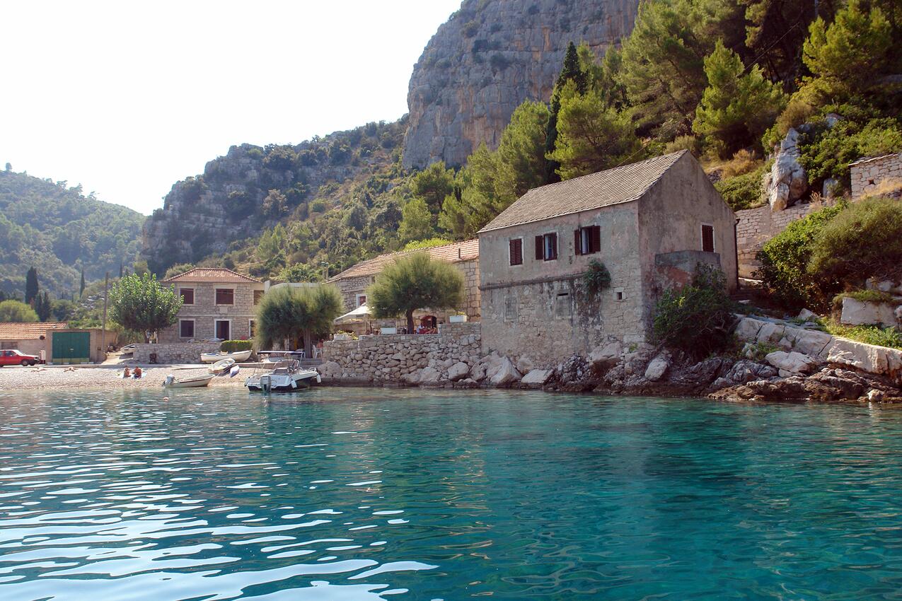 Pokrivenik sur l’île Hvar (Srednja Dalmacija)