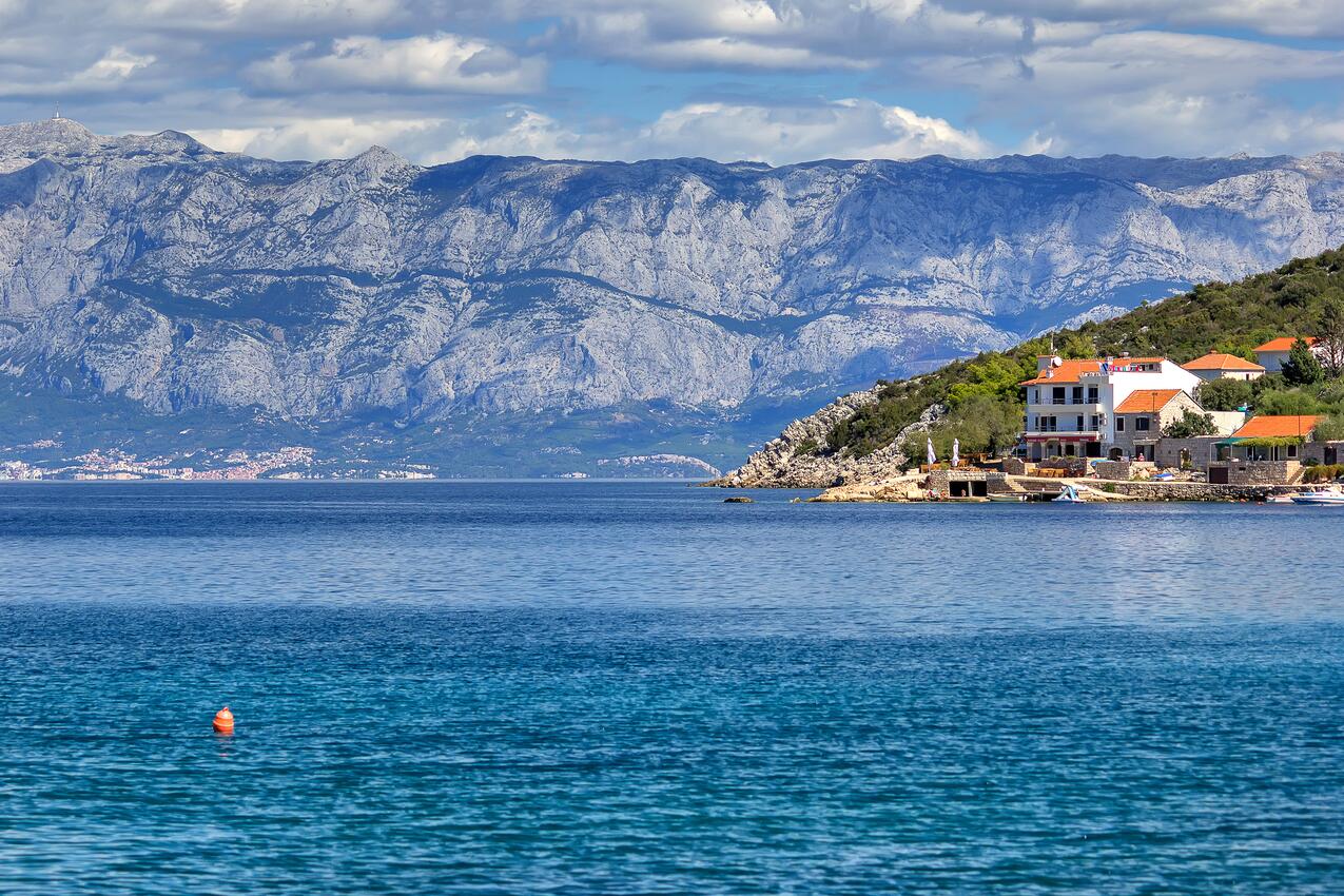 Pokrivenik sur l’île Hvar (Srednja Dalmacija)