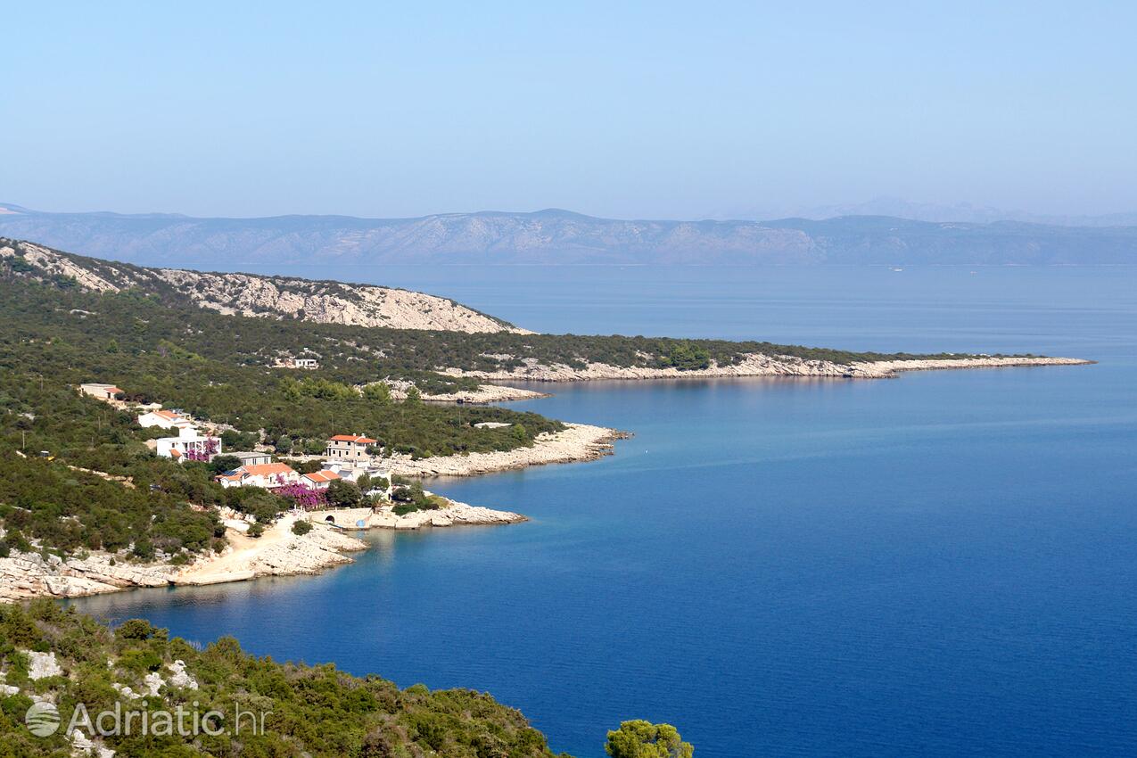 Pokrivenik sur l’île Hvar (Srednja Dalmacija)