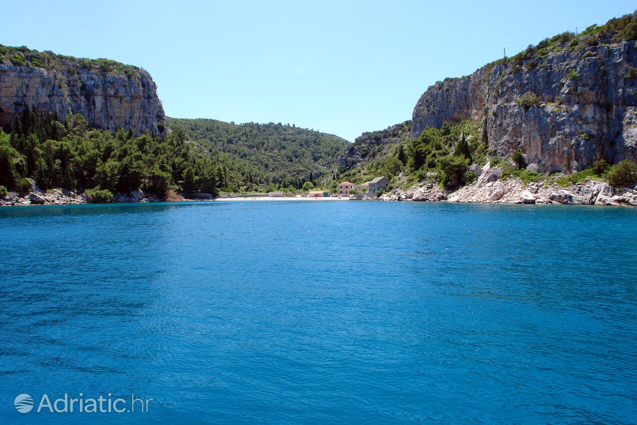 Pokrivenik sur l’île Hvar (Srednja Dalmacija)