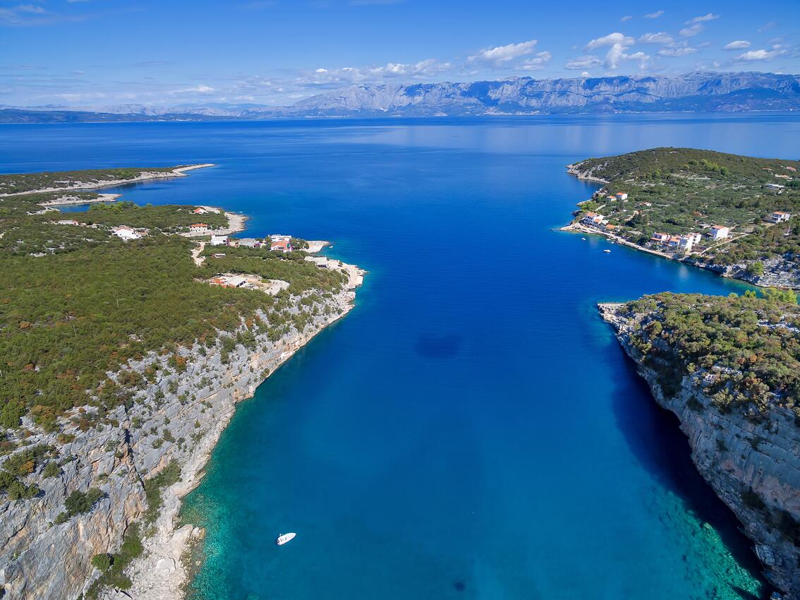 Pokrivenik sur l’île Hvar (Srednja Dalmacija)