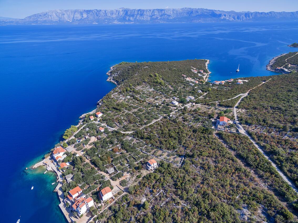 Pokrivenik sur l’île Hvar (Srednja Dalmacija)