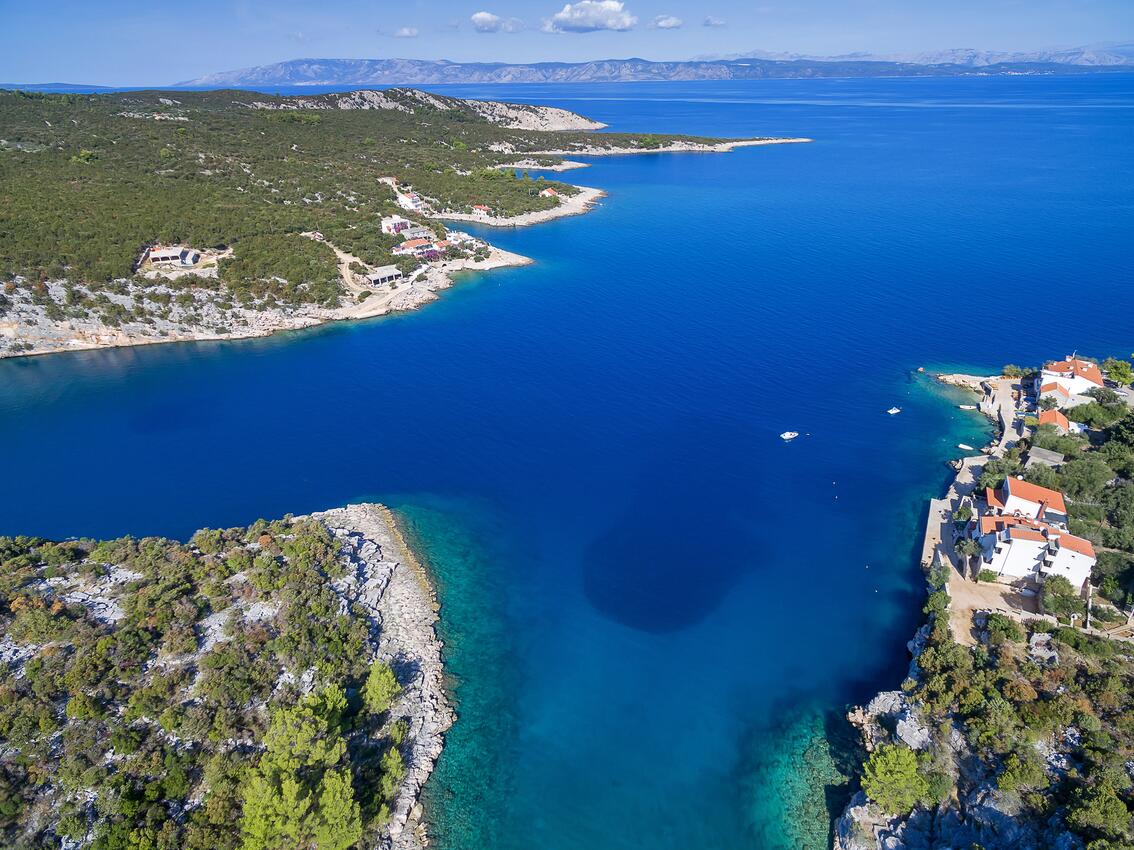 Pokrivenik sur l’île Hvar (Srednja Dalmacija)