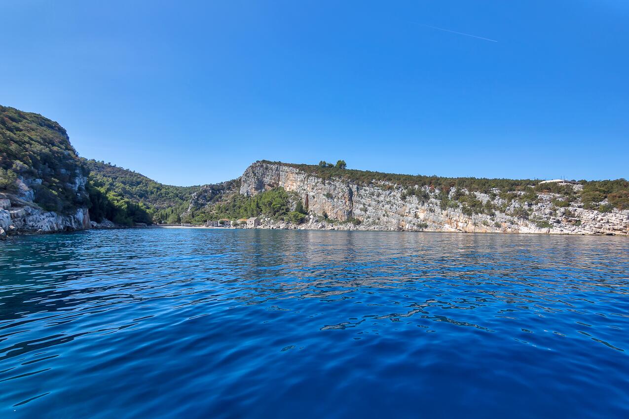 Pokrivenik sur l’île Hvar (Srednja Dalmacija)