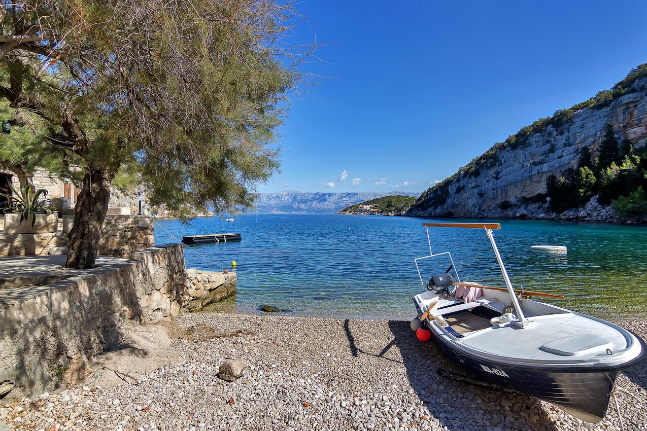 Pokrivenik sur l’île Hvar (Srednja Dalmacija)